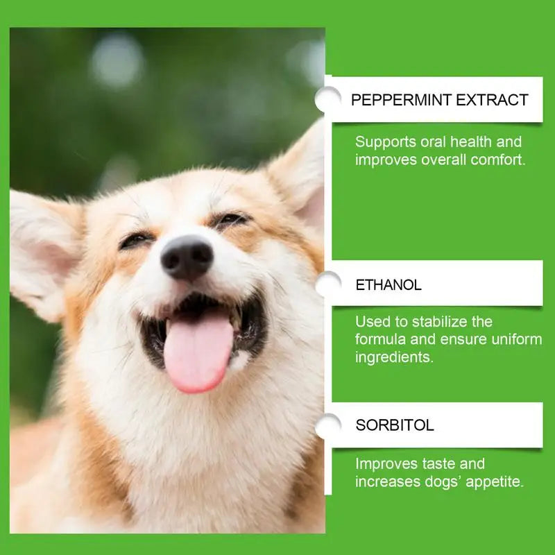 Dog Food Additives Skin And Coat Supplement Dog Dietary Support Supplement Pet Dietary Grooming Supplement 60ml For Immune