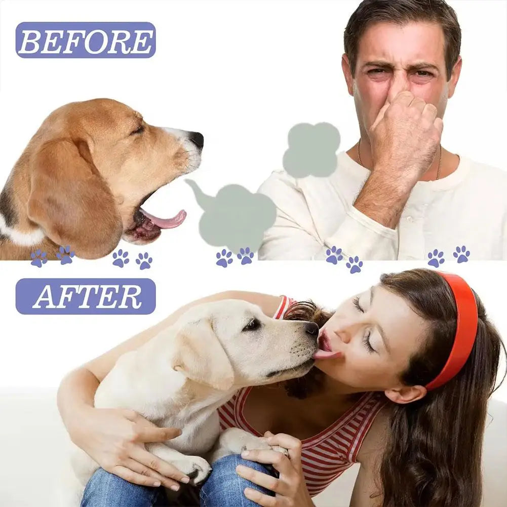 Pet Oral Care Spray for Cat Dog Pet Fresh Breath Dental Care Teeth Cleaning Anti Inflammatory Dog Gingivitis Treatment